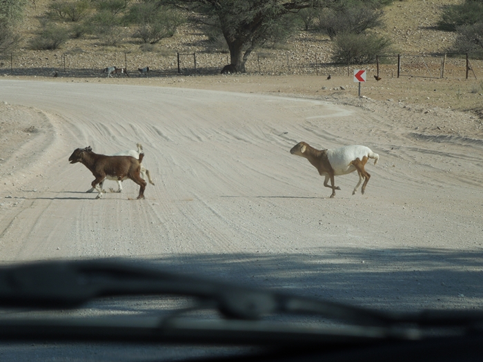 ナミビアレンタカーの旅 Part1 ウィントフックからセスリム/ナミブ砂漠へ！