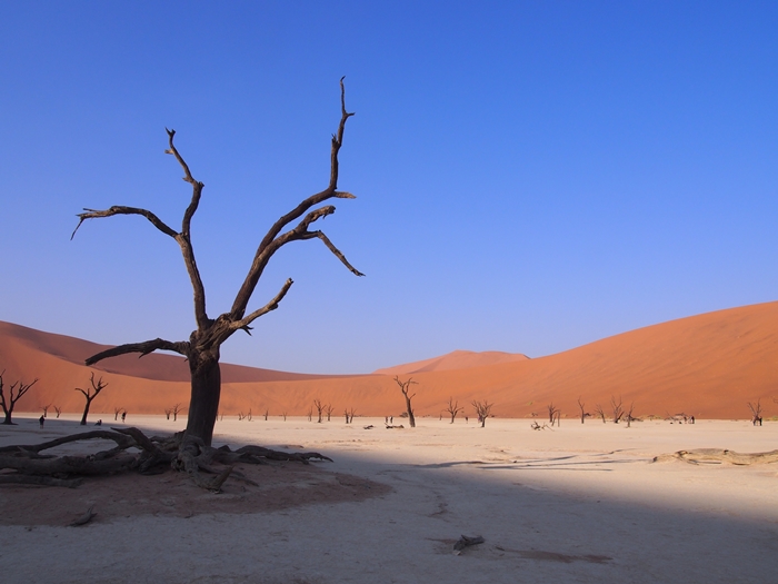 ナミビアレンタカーの旅 Part2 赤い砂漠と白い死の沼地へ！ソッサスフレイとデッドフレイ