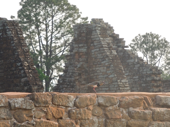 世界遺産を独り占め！パラグアイ唯一の世界遺産 トリニダー遺跡 (16)