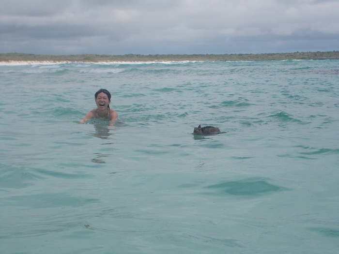 【エクアドル03】世界でここだけ！イグアナと泳げるビーチ。ガラパゴスPart2（サンタクルス島） (4)