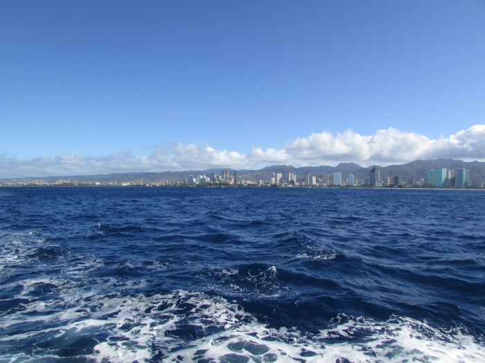 【ハワイ05】オアフでホエールウオッチング・ツアーに参加！ちゃんとクジラが見れました♪ (2)