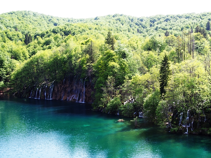 【クロアチア03】青と緑の美しいコントラスト。。世界遺産プリトヴィッツェ湖群国立公園 (24)