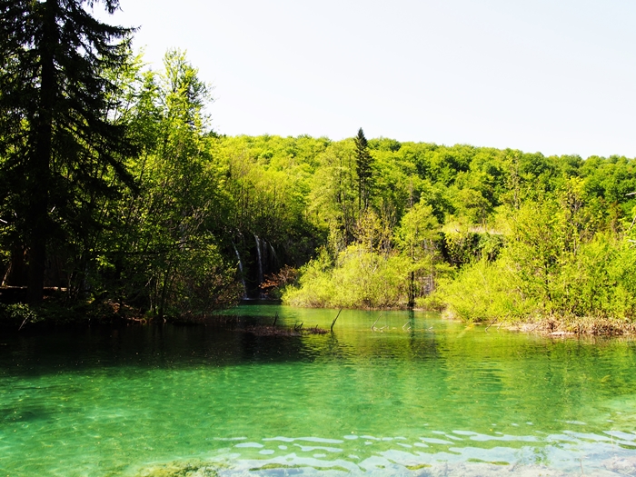 【クロアチア03】青と緑の美しいコントラスト。。世界遺産プリトヴィッツェ湖群国立公園 (21)