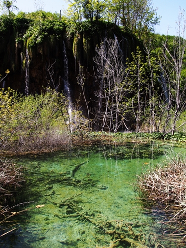 【クロアチア03】青と緑の美しいコントラスト。。世界遺産プリトヴィッツェ湖群国立公園 (18)
