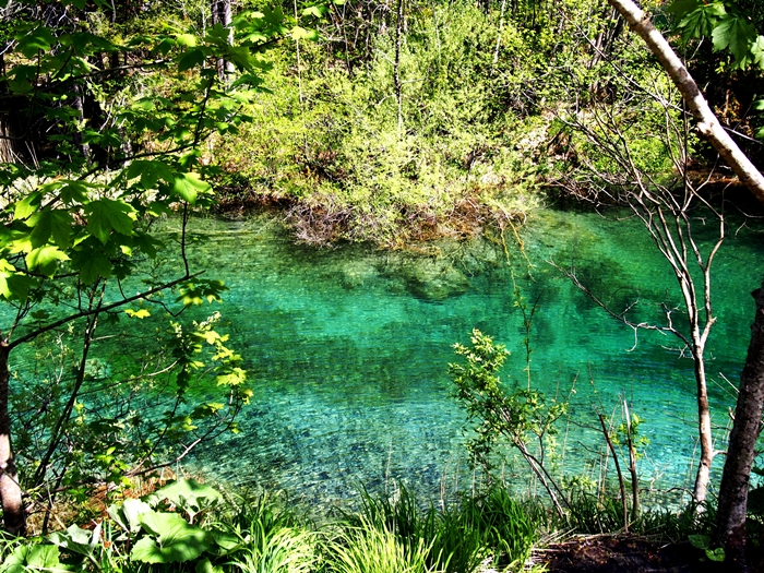 【クロアチア03】青と緑の美しいコントラスト。。世界遺産プリトヴィッツェ湖群国立公園 (15)