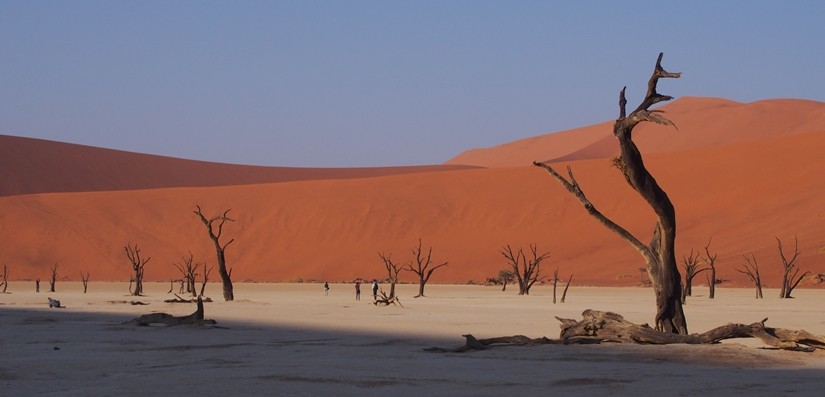 【ナミビア03】ナミビアレンタカーの旅 Part2 赤い砂漠と白い死の沼地へ！ソススフレイとデッドフレイ