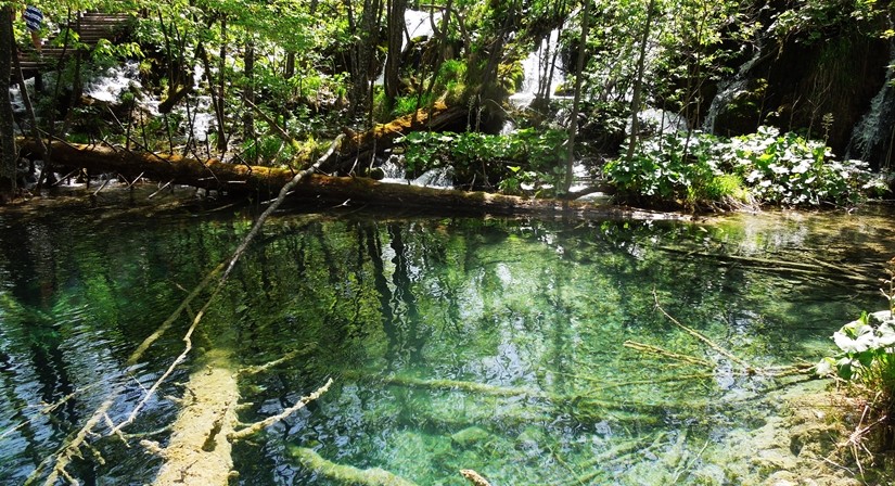 【クロアチア03】青と緑の美しいコントラスト。。世界遺産プリトヴィッツェ湖群国立公園